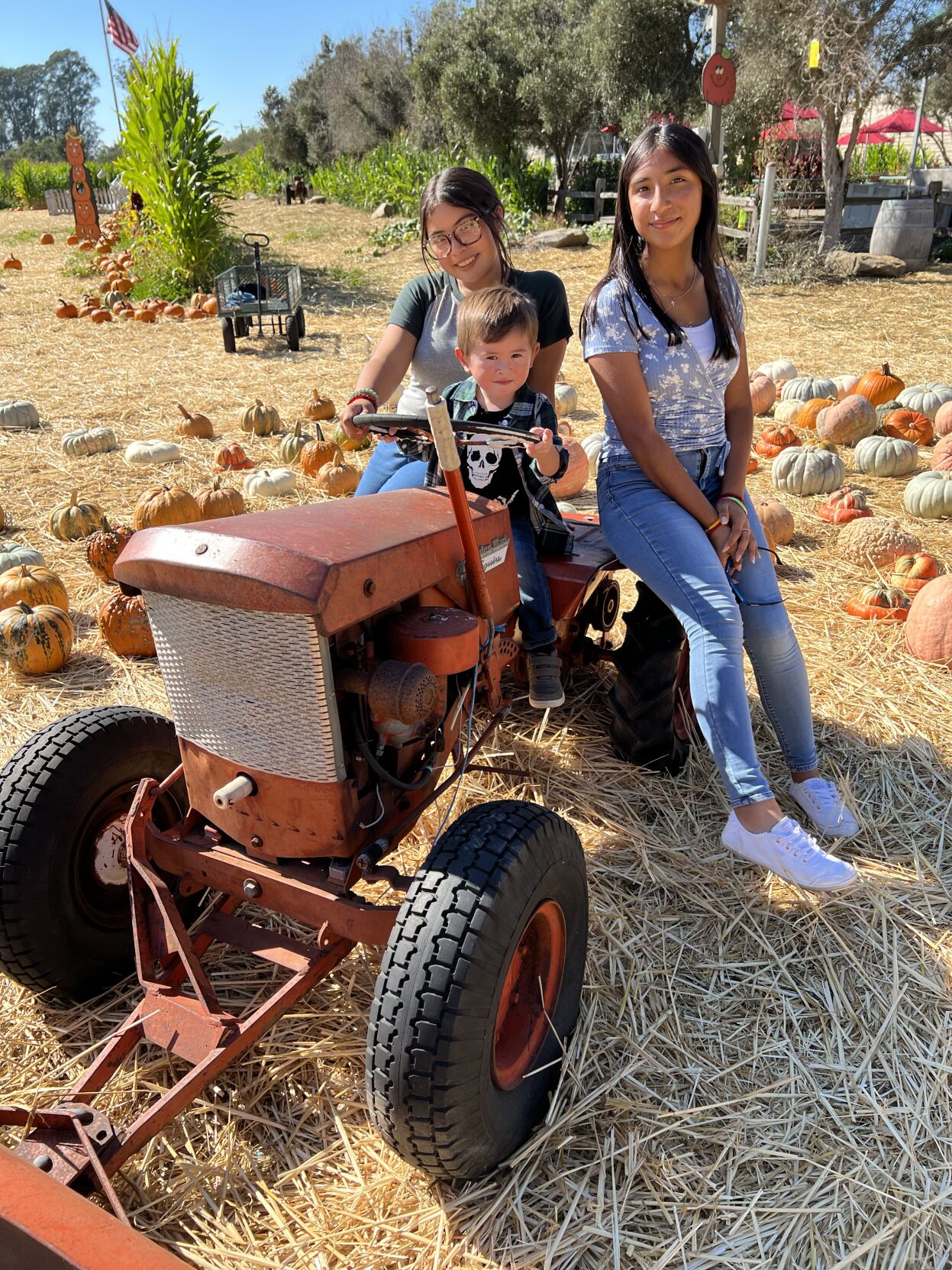 Picking Pumpkins 2022